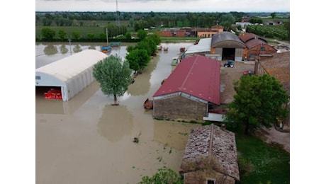 Alluvione, Legacoop Romagna: “A Cab Massari rimborsato meno del 15% del danno, siamo preoccupati per le risorse”