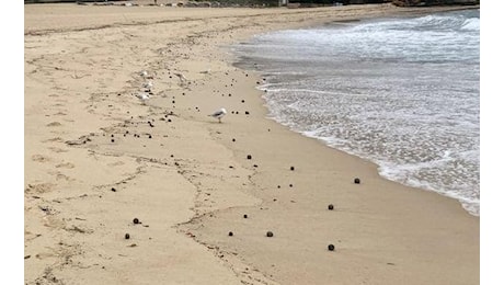 Australia, spiagge chiuse a Sydney per la comparsa di centinaia di sfere nere sul litorale