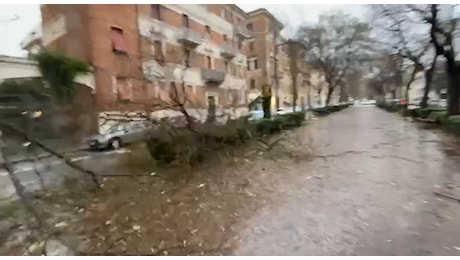 Meteo, tempesta sulle Marche: vento fortissimo e mareggiate