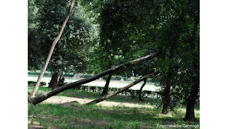 Meteo, allerta vento nel fiorentino: codice giallo sull'Alto Mugello