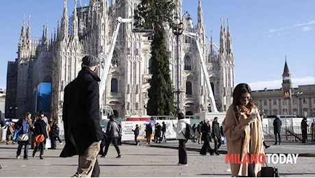 Iniziati i lavori per l'albero in Duomo: le Olimpiadi Milano Cortina tra gli sponsor