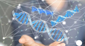 Rivoluzione genetica: un bypass RNA per l’editing del DNA