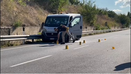 Sventato assalto a portavalori sulla statale 16, ferito vigilante/VIDEO