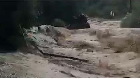 Bomba d'acqua a Bolgheri: le strade diventano fiumi