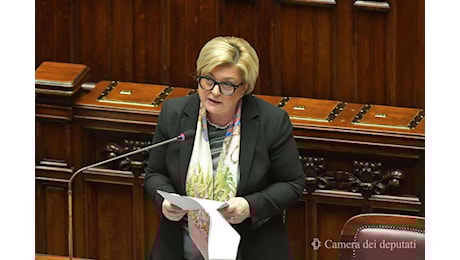 Indagini (senza indagati) sulla laurea di Calderone