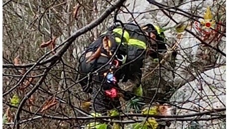 Cane precipita in un dirupo, Vigili del fuoco in azione: il recupero tra mille difficoltà