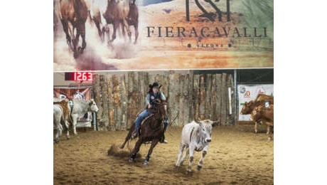 Fieracavalli chiude con 140 mila presenze da 73 diversi paesi: 'Uno dei brand di riferimento nel portafoglio Veronafiere'