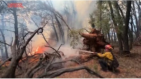 California, migliaia di vigili del fuoco impegnati contro incendi selvaggi