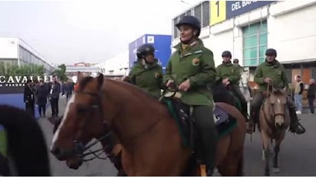 Fieracavalli, aperta a Verona l'edizione da record