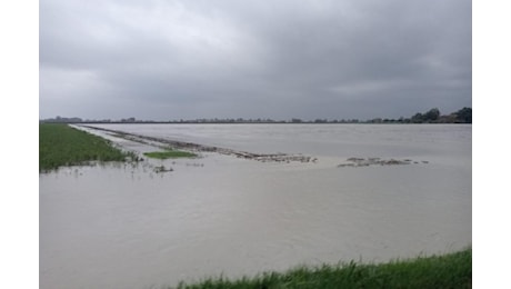 Emilia Romagna, decine di migliaia di ettari finiscono di nuovo sott'acqua