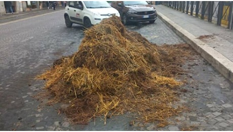 Roma, blitz ambientalista: 5 quintali di letame scaricati davanti al Viminale