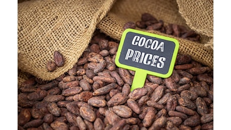 Commodity dell'anno: il cacao domina il 2024 con nuovi massimi storici e una performance record