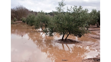 Piogge torrenziali in atto al Nord-Ovest, ma il maltempo colpirà queste regioni con rischio di alluvioni