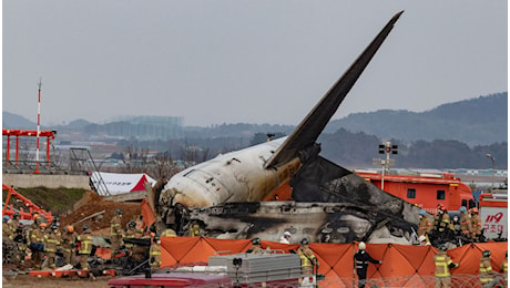 Cos'è il bird strike e perché è pericoloso per gli aerei, un dispositivo può prevenire gli incidenti