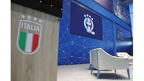 Assemblea FIGC: c’è la data per le elezioni del nuovo presidente!