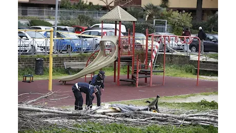 Cade un albero nel parco: morta una mamma, era con i figli