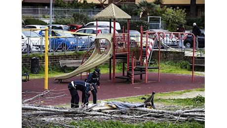 La tragedia di Francesca non è una fatalità: è frutto dell'incuria dell'amministrazione di Roma