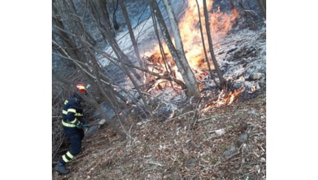 Incendio boschivo in Valvarrone, Vigili del Fuoco al lavoro