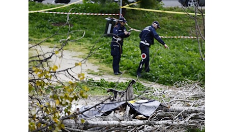 Cade un albero al parco. Donna muore, figli illesi