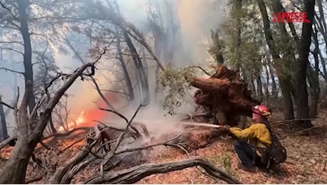 VIDEO California, migliaia di vigili impegnati contro incendi selvaggi