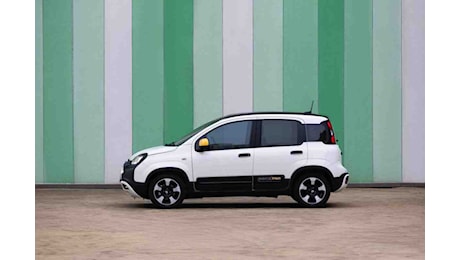 Fiat Panda, maxi sconto di 3 mila euro: come usufruirne