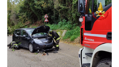 Ancora maltempo nelle Marche. Nel fermano un albero si abbatte su un'auto in transito, ferito il conducente