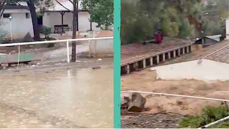 Alluvione a Malaga in Spagna: maneggio di cavalli spazzati via dalla furia dell’acqua