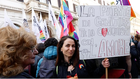 Maternità surrogata, bocciatura Usa: “Così l’Italia discrimina le famiglie”