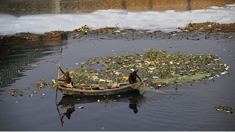 Video. Nuova Delhi: un tuffo nella schiuma tossica del fiume sacro Yamuna