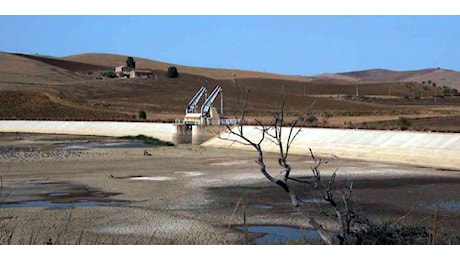 La siccità asciuga il Sud, ad agosto campi senz'acqua. Musumeci striglia le regioni, Speso solo 30% dei fondi. Sicilia in ginocchio