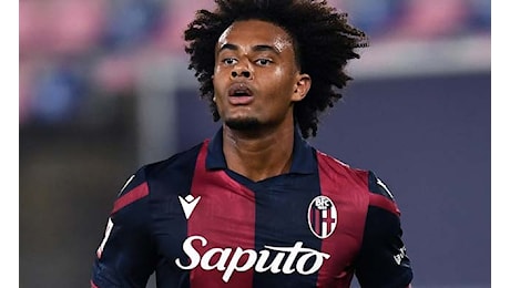 Napoli su Zirkzee? L'esperto: Grossa opportunità di mercato