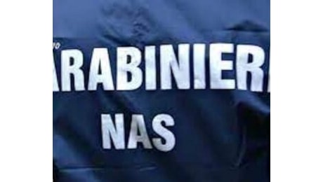 Qualifiche professionali false, 107 indagati e perquisizioni