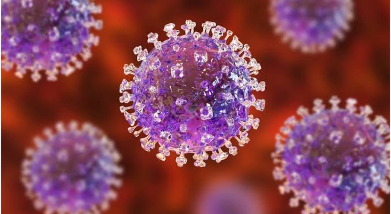 Virus Congo: Quali Sono I Sintomi, Come Avviene Il Contagio, Casi E ...