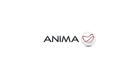 Anima Holding, BancoBPM Vita lancia un'opa a 6,2 euro