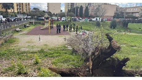 Albero caduto a Roma, donna morta mentre era coi figli al parco, un'altra rimasta ferita, illesi i bambini, la causa il forte vento