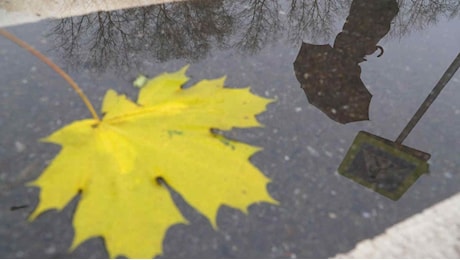 Meteo, l'autunno si fa sentire: calo termico e maltempo, torna anche la neve! La tendenza dal 12 settembre