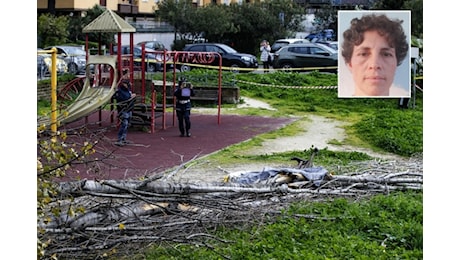 Morta schiacciata da un albero a Roma, si indaga per omicidio colposo. Il cordoglio della Farnesina