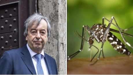 Cresce il focolaio Dengue a Fano, il virologo Burioni: La situazione è fuori controllo