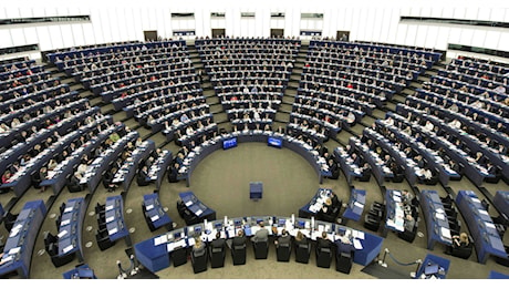 Quanti e quali sono i gruppi politici al Parlamento europeo