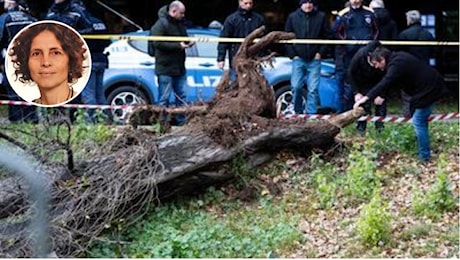 Francesca Ianni morta schiacciata da un albero a Roma, il sindaco Gualtieri: “Fare piena luce”