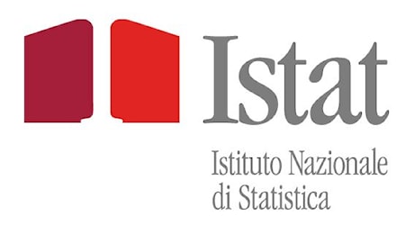 Inflazione, Istat, nel 2024 è all’1%