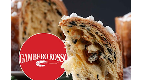 Se devi acquistare un panettone artigianale scegli fra questi: secondo Gambero Rosso sono i migliori