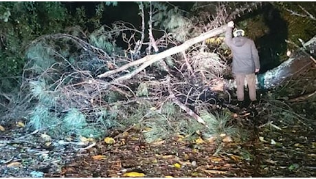 Tanti danni per il vento in Garfagnana fra alberi caduti e blackout previsioni