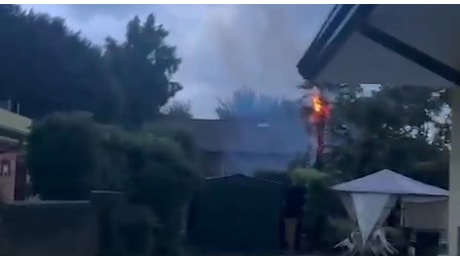 Maltempo a Castelfranco. Un fulmine incendia la palma del giardino del consigliere comunale Fiorenzo Basso