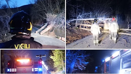 Varese, forte vento della notte: strade interrotte per gli alberi caduti, oltre trenta gli interventi dei vigili del fuoco