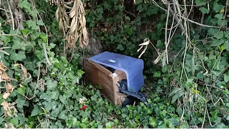 Martedì l’autopsia sui sei cani fatti a pezzi e ritrovati a Peschiera Borromeo: scossa la comunità locale