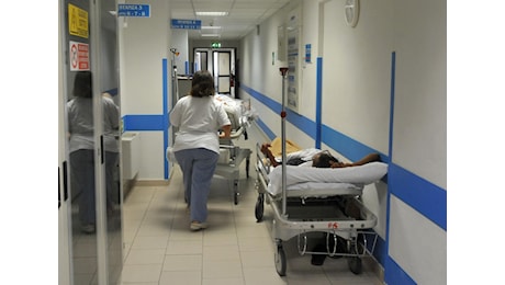 Sanità, in Italia si spende sempre meno per medici e infermieri: Persi 28 miliardi, avverte Gimbe