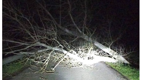 Vento di burrasca: emergenza in provincia di Oristano. Decine di interventi