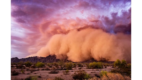 Una massiccia nube di polvere dal Sahara sta per raggiungere il Golfo del Messico: niente di strano? Forse no
