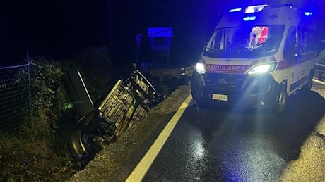 Cinque caprioli attraversano la strada mentre lui passa: l'auto si ribalta nel fosso